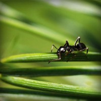 /album/siofanage/photolia-a05-jpg/