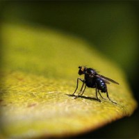 /album/siofanage/photolia-a07-jpg/